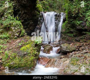 Ein Wasserfall im Oze-Nationalpark in Gunma, Japan. Stockfoto