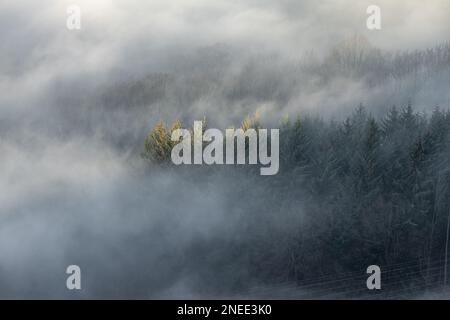 Bamford Edge. Ladybower und Hope Valley – Temperaturinvertierung bei Sonnenaufgang im Winter im Peak District National Park, England, Großbritannien. Stockfoto