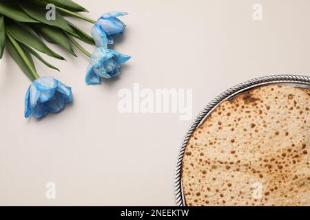Leckere Matzen und frische Tulpen auf hellgrauem Hintergrund, flach liegend. Pessach-Feier Stockfoto