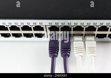 Nahaufnahme des Netzwerk-Switches mit Kabeln auf hellem Hintergrund. Internetverbindung Stockfoto
