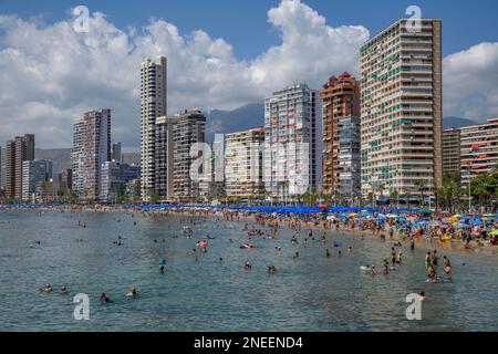 Viele Touristen am Strand vor Wolkenkratzern, Playa Levante, Benidorm, Alicante Provinz, Costa Blanca, Spanien Stockfoto