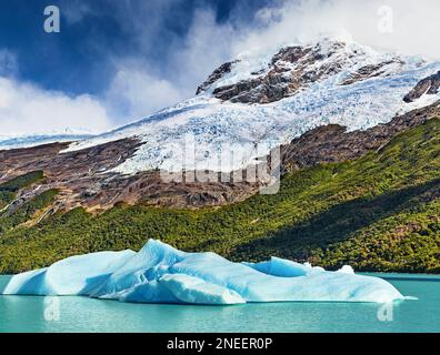 Schwimmende Eisscholle und schneebedeckte Berge. Lake Argentino, der größte Süßwasser-Gletschersee in Argentinien, Patagonien, Argentinien Stockfoto