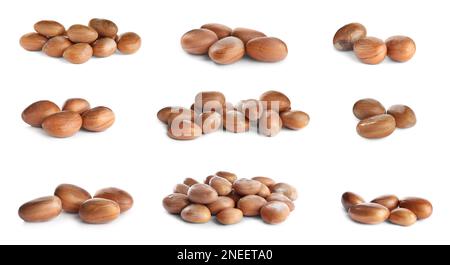 Set mit Jackfruchtsamen auf weißem Hintergrund. Bannerdesign Stockfoto