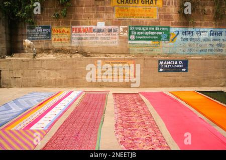 Traditionelle indische Saris legten den Weg in Chauki Ghat, der die heiße Sonne trocknete, mit Schildern und Ziegen im Hintergrund, farbenfrohe, lebendige Kunstszene Stockfoto
