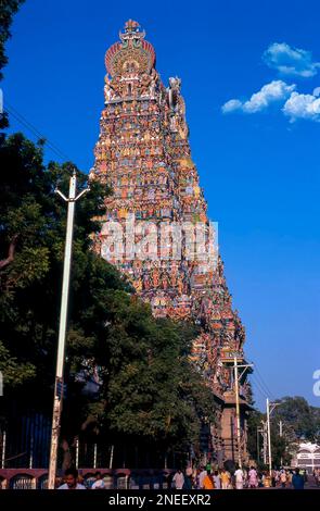 Der höchste, 170 Fuß hohe Südturm im Meenakshi Amman Tempel in Madurai, Tamil Nadu, Indien, Asien Stockfoto