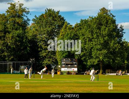 Dorfcricket-Karte im Toft Cricket Club in Knutsford Cheshire England, ein traditioneller Sommersport. Stockfoto