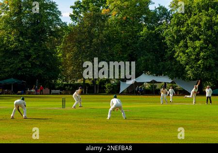 Dorfcricket-Karte im Toft Cricket Club in Knutsford Cheshire England, ein traditioneller Sommersport. Stockfoto