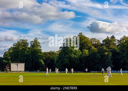 Dorfcricket-Karte im Toft Cricket Club in Knutsford Cheshire England, ein traditioneller Sommersport. Stockfoto