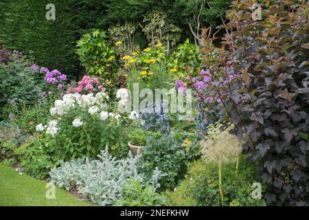 Ein Perenniel-Blumenrand in voller Blüte in einem englischen Hüttengarten im Sommer Stockfoto