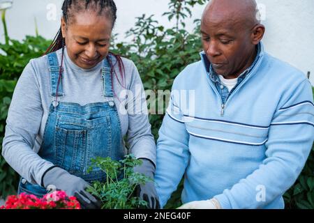 Seniorenpaar, das zusammen zu Hause Gartenarbeit macht. Konzept: Gartenarbeit, Ruhestand, Spaß, draußen Stockfoto
