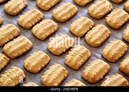 Hausgemachte Weihnachtskekse auf Pergamentpapier Stockfoto