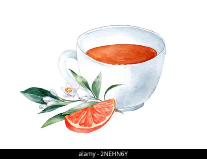 Tasse mit Kräutertee, Blumen und Orangenfrüchten. Handgezeichnetes Aquarellgemälde isoliert auf weißem Hintergrund Stockfoto