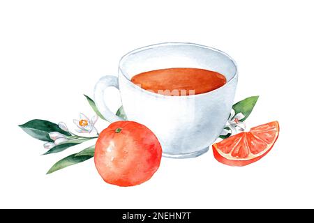 Teekanne mit Kräutertee, Blumen und Orangenfrüchten. Handgezeichnetes Aquarellgemälde isoliert auf weißem Hintergrund Stockfoto