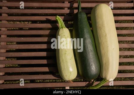 Drei große Zucchini sind in einer Reihe auf einem Holztisch angeordnet, Draufsicht mit einem Platz zum Kopieren. Hochwertiges Foto Stockfoto