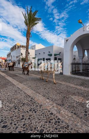 Esel mit Baumaterial, Santorini Stockfoto