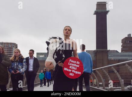 London, Großbritannien. 16. Februar 2023 PETA inszenierte am Vorabend der London Fashion Week einen „Laufsteg“ auf der Millennium Bridge mit einem Modell, das einen künstlichen Kuhkopf im Schiaparelli-Stil trug. Der Stunt soll die Menschen dazu inspirieren, Tierleder loszuwerden, und verweist auf Schiaparellis „Tierköpfe“, die kürzlich auf der Pariser Modewoche viel Kontroversen ausgelöst haben. Stockfoto