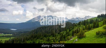 Black Lake zwischen dem dunklen Pinienwald und unter dem Bear Mountain, Durmitor Stockfoto