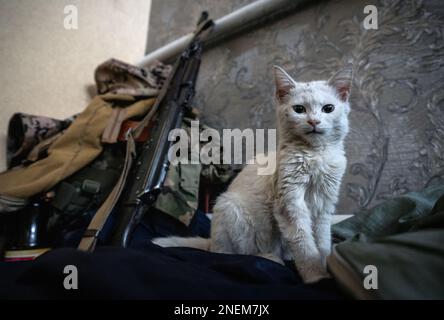 Region Donezk, Ukraine. 14. Februar 2023. Donezk-Region, Ukraine - 14. Februar 2023: Tägliches Leben in einem ukrainischen Armee-Außenposten in der Nähe der Donezkfront. (Foto: Kish Kim/Sipa USA) *** Korea out *** Kredit: SIPA USA/Alamy Live News Stockfoto