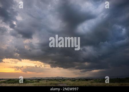 Bei Sonnenuntergang nähert sich ein Sturm über dem Kyambura Game Reserve in Uganda, Ostafrika. Stockfoto