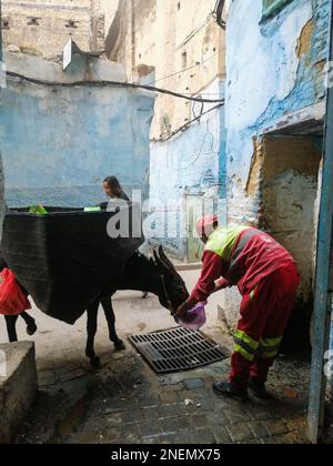 Marokko, Fes, Sammlung kommunaler Abfälle Stockfoto