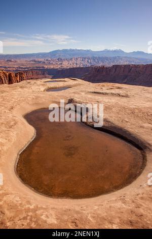 Mit Regenwasser gefüllte flüchtige Pools im Kayenta Sandstein am Pucker Pass über dem Long Canyon bei Moab, Utah, mit hinter den Felsen und dem La Sal Mount Stockfoto