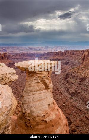 Sturmwolken über einer Sandstein-Hoodoo-Felssäule im Long Canyon, hinter den Rocks und den La Sal Mountains vom Pucker Pass in der Nähe von Moab, Utah. Stockfoto