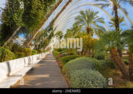 VALENCIA, SPANIEN - 15. FEBRUAR 2022: Der Skulpturengarten L'Umbracle als Teil der von Santiago Calatrava entworfenen Stadt der Künste. Stockfoto