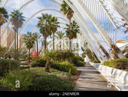 VALENCIA, SPANIEN - 15. FEBRUAR 2022: Der Skulpturengarten L'Umbracle als Teil der von Santiago Calatrava entworfenen Stadt der Künste. Stockfoto