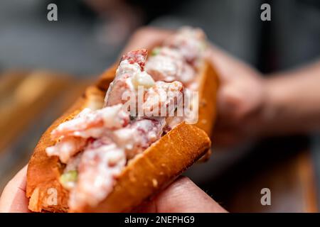 Maine Hummerbrötchen Sandwich in Brioche Brötchen Makroaufschnitt Textur im Meeresfrüchte Restaurant Cafe in Key West, Florida mit Hand-Halten-pov Stockfoto