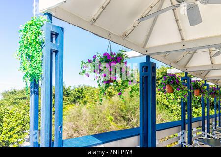 Draußen gibt es ein Fischrestaurant am Wasser mit Tischen und niemand mit blau-weiß-griechischem Strandmeer und Blumen Stockfoto
