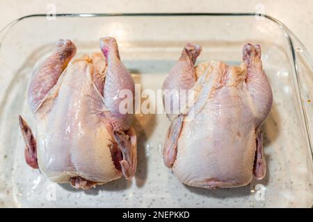 Nahaufnahme von zwei kleinen ganzen hühnern aus cornish zum Rösten als rohes rosa Fleisch in einer Glasschale über der Ansicht Stockfoto