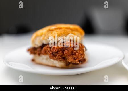 Hähnchen-Sandwich frittiertes knuspriges Fleisch auf Frühstückskeksen-Brötchen-Brot, frisches Fast Food auf einem weißen Hintergrund Küchentisch-Teller Makro-Nahaufnahme Stockfoto