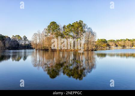 Eutawville, South Carolina, Sonnenuntergang in der Stadt nahe Lake Marion mit Blick auf die Wasserlandschaft am Fountain Lake am Frühlingsabend, mit niemandem und Kiefern Stockfoto