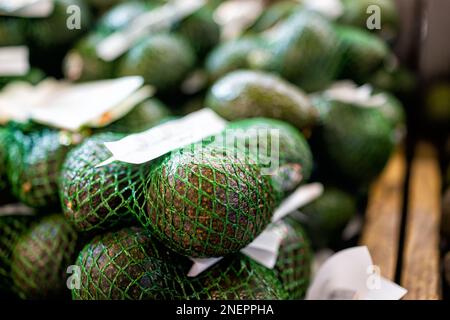 Avocados auf Lebensmittelgeschäft Supermarkt Auslage, rohe, unreife tropische grüne Früchte in Netzbeuteln Stockfoto