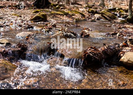 Der Wanderweg Shamokin Springs Nature Preserve im Wintergreen Resort in Virginia führt zu einem kleinen Wasserfall, einem Fluss, Bach und Wasser Stockfoto