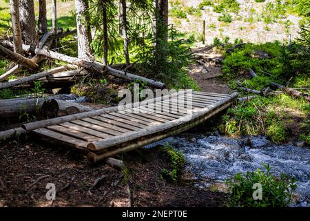 Water Creek kleine Flussquellenbrücke im Sommer am Royal Elk zum Beaver Lake Wanderweg im Skigebiet Beaver Creek bei Avon, Colorado Stockfoto