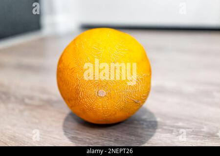 Winter-Hami-Melone ganze gelbe süße Früchte mit Struktur und Muster der Schwarte Stockfoto