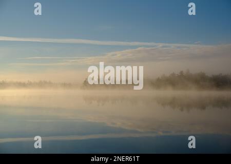 Morning Mist am Kidney Pond, Baxter State Park, Maine Stockfoto