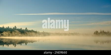 Morning Mist am Kidney Pond, Baxter State Park, Maine Stockfoto