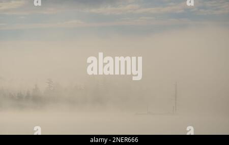 Morning Mist am Kidney Pond, Baxter State Park, Maine Stockfoto