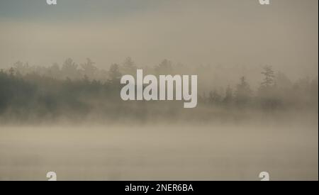 Morning Mist am Kidney Pond, Baxter State Park, Maine Stockfoto