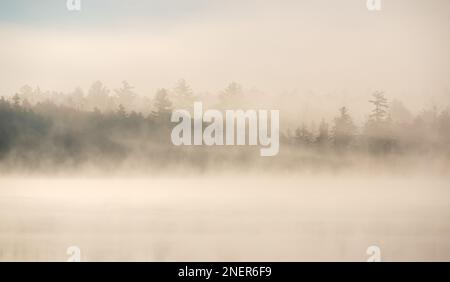 Morning Mist am Kidney Pond, Baxter State Park, Maine Stockfoto