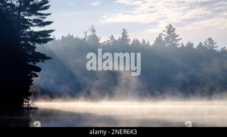 Morning Mist am Kidney Pond, Baxter State Park, Maine Stockfoto