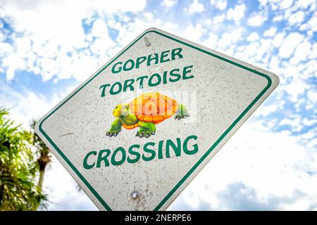 Barefoot Beach, USA - 2. November 2021: Bonita Springs, Florida, Schild für Erdschildkröten Tiere, die auf dem Parkplatz an der Küste des Golfs von Mexiko überqueren Stockfoto