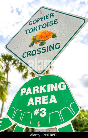 Barefoot Beach, USA - 2. November 2021: Parkschild in Bonita Springs, Florida, und Gopher Schildkröten Tiere überqueren auf dem Parkplatz im Golf von Stockfoto