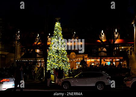 Naples, USA - 23. Dezember 2021: Weihnachtsfeiertag in Naples, Florida, mit Baum für Restaurant am Abend auf der 13. Avenue, mit Autos im Verkehr Stockfoto