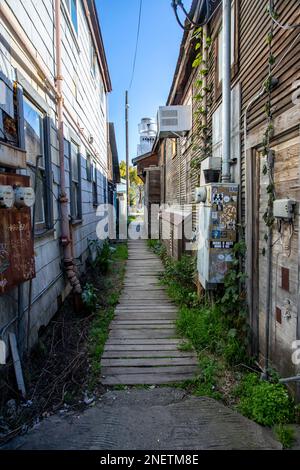 Das Locke Historic District liegt in der Gegend des Sacramento-San Joaquin River Delta in Norhern Kalifornien. Die Stadt wurde als erste Wet entwickelt Stockfoto