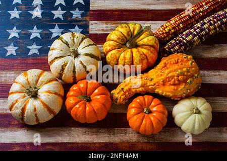 American Flag Autumn Harvest, Indian corn with small pumpkins Stock Photo