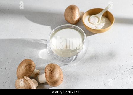 japanischer Shiitake-Pilztee. Hochwertiges Foto Stockfoto