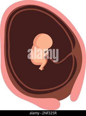 12 Wochen Baby-Fötus Stock Vektor
